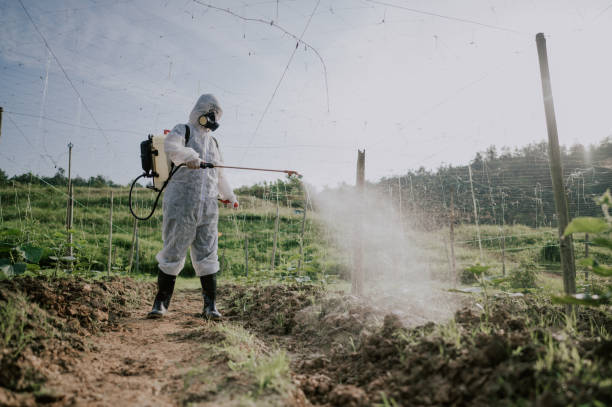 Best Affordable Pest Control Services  in Coventry Lake, CT