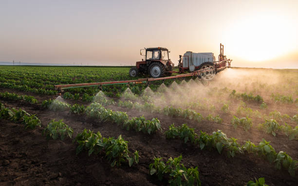Best Pest Removal Services  in Coventry Lake, CT