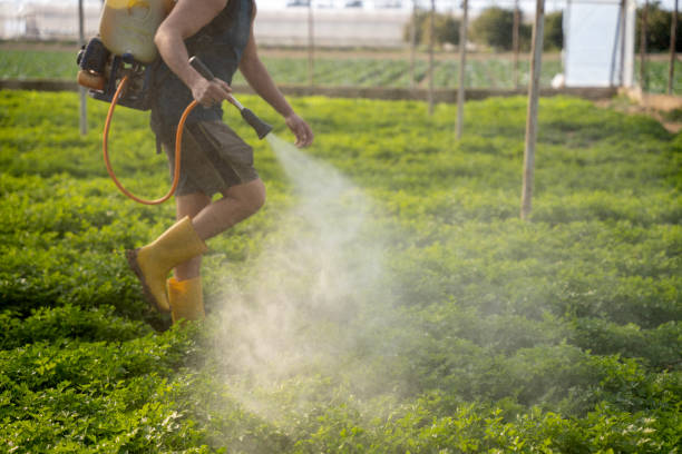 Best Pest Prevention Services  in Coventry Lake, CT