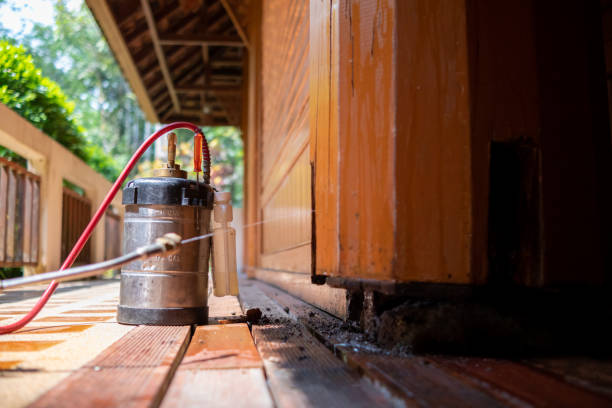 Best Mosquito Control Services  in Coventry Lake, CT