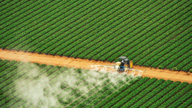 Best Pest Control for Businesses  in Coventry Lake, CT